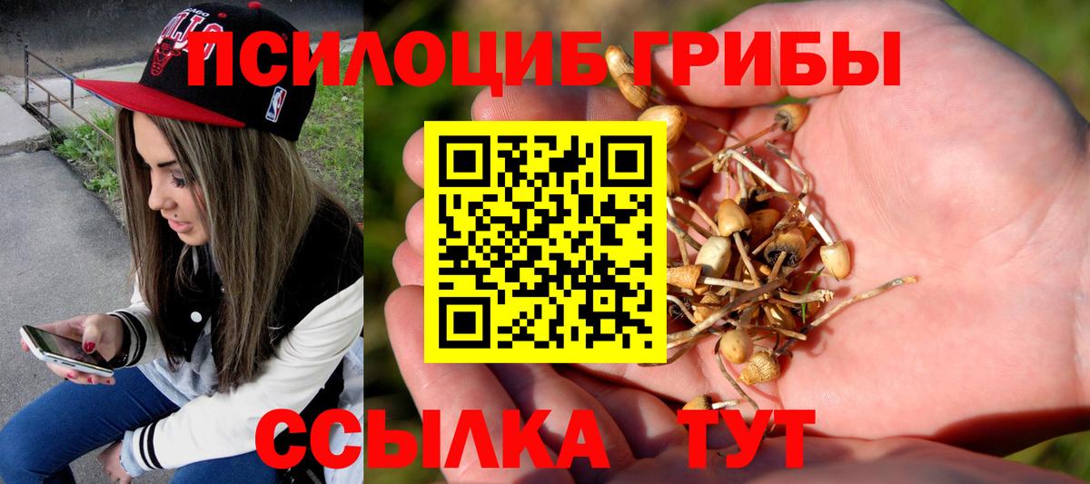 Горно-Алтайск  магазин    Вход с VPN  Псилоцибиновые грибы Magic Shrooms 