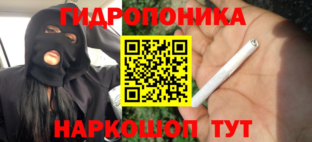 Бошки Шишки планчик Горно-Алтайск